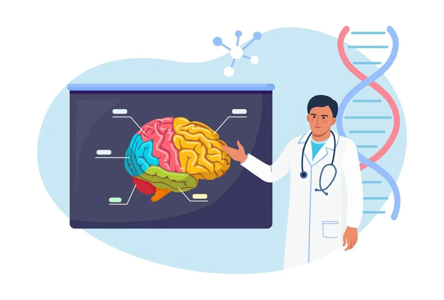 An illustration depicting the connection between chronic sleep loss and cognitive decline.