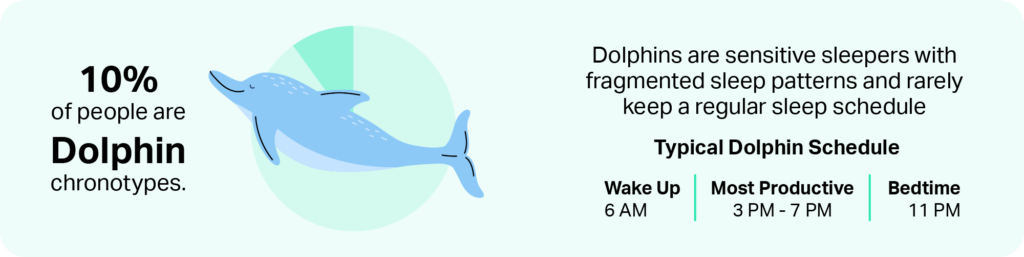 Dolphin chronotype banner graphic with a dolphin and abstract wave patterns.