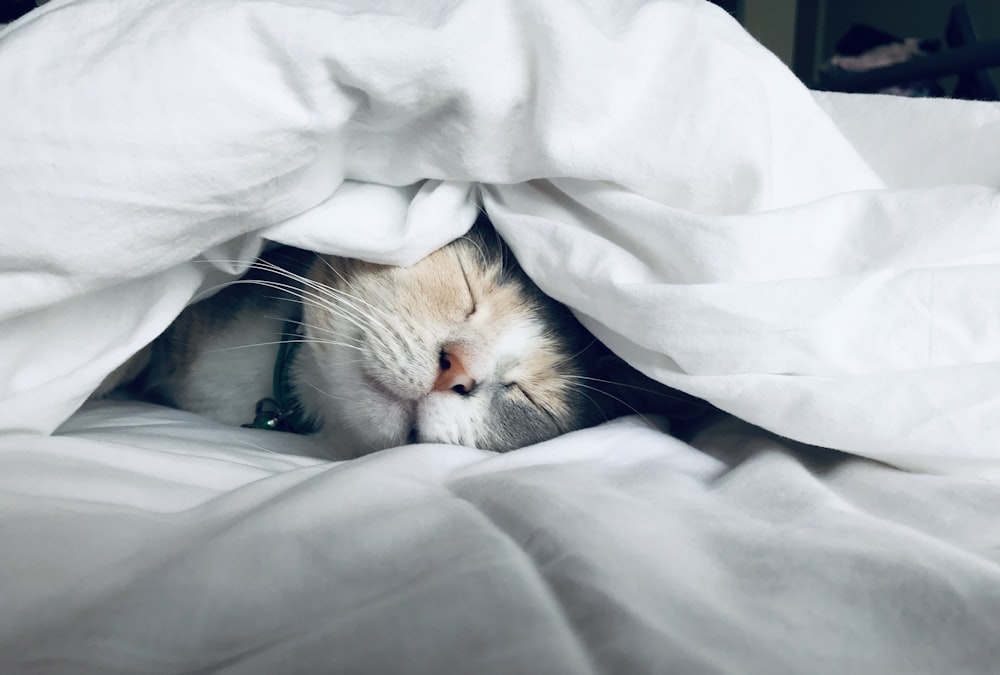 A person sleeping soundly in a dark, quiet bedroom.