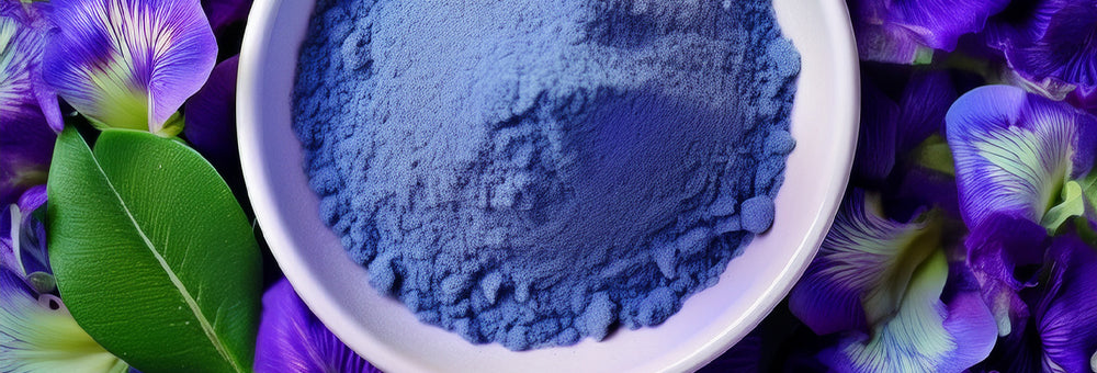 Dried butterfly pea flowers next to a bowl of finely ground cobalt blue powder.