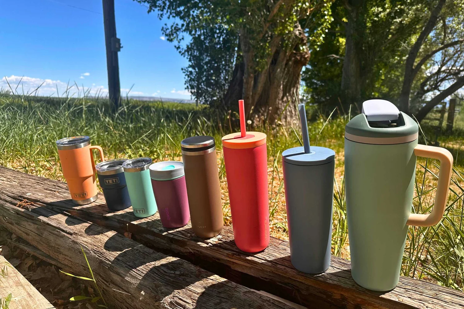 7 Best Insulated Travel Tumblers for Workouts (2026)