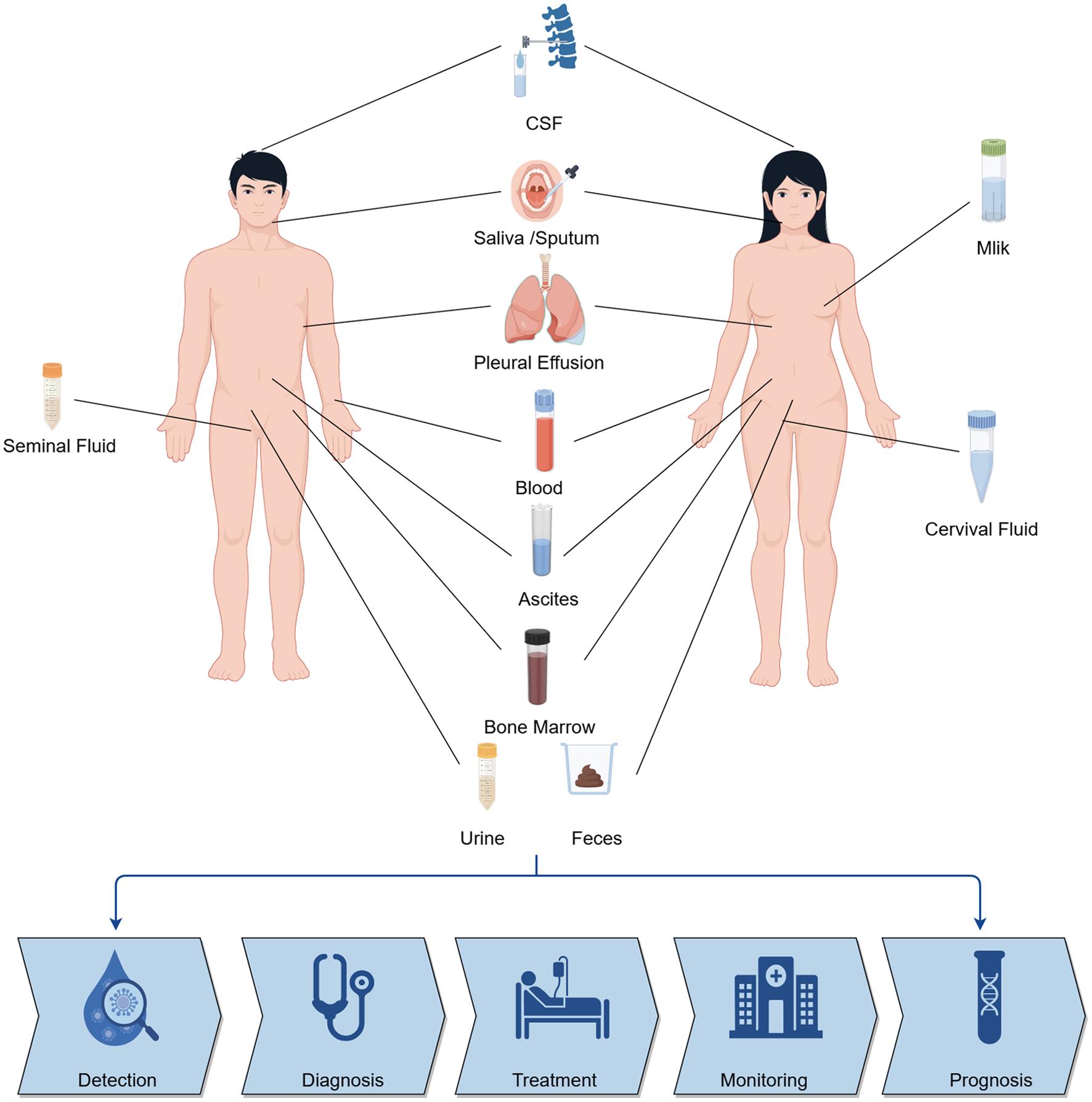 New Colorectal Cancer Blood Test: How it Works