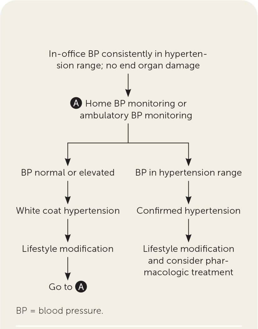 Clinical algorithm flowchart for the diagnosis of suspected white coat hypertension