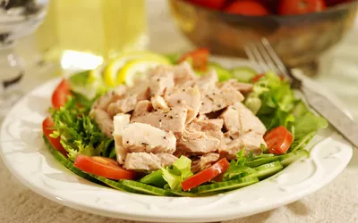 Grilled chicken breast served over a fresh vegetable salad with lemon slices.