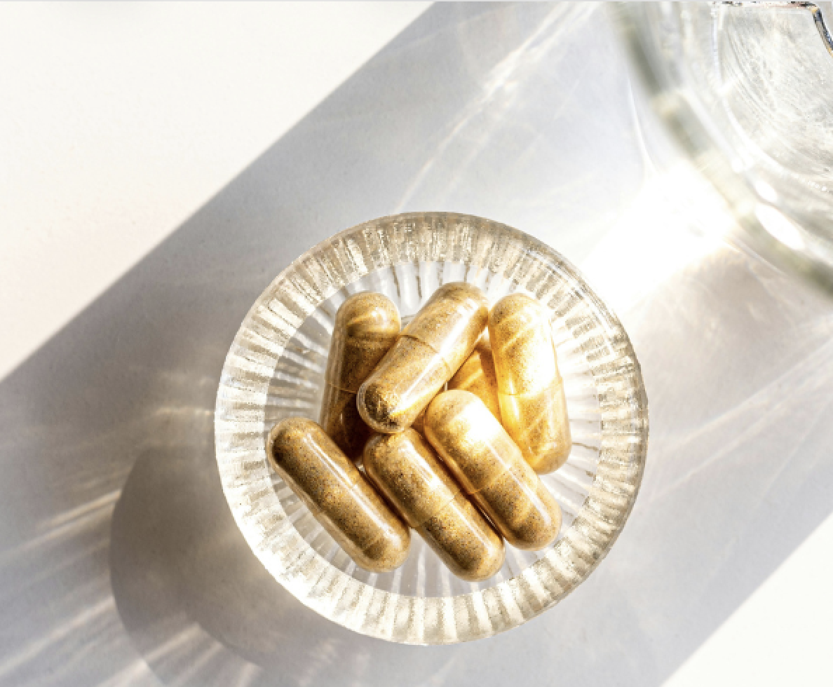GP Nutrition supplement packaging emphasizing clean and professional design.
