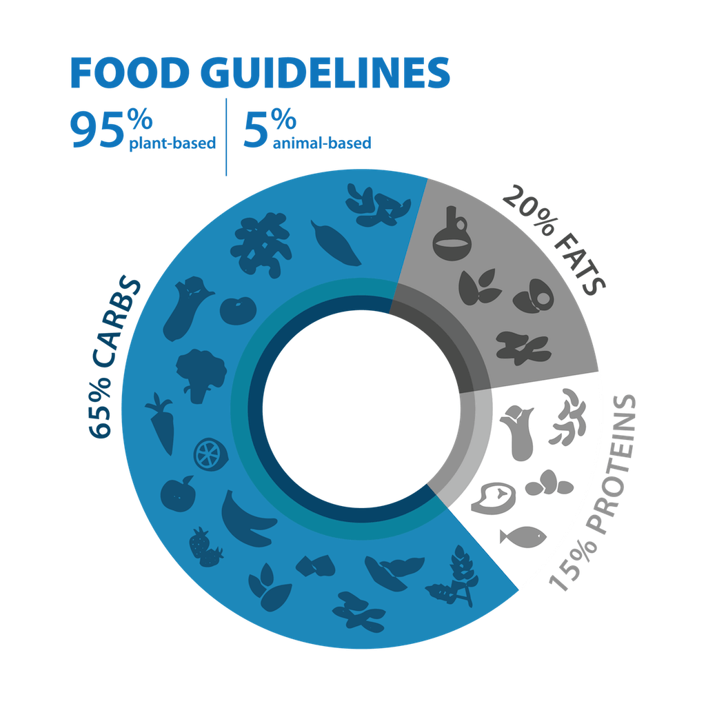 A dietary percentage chart showing the 95-100 percent plant-based rule of the Blue Zones diet.