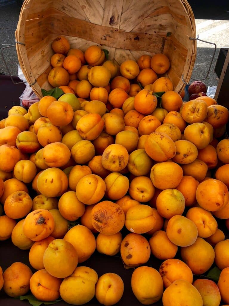 A basket filled with ripe orange apricots.