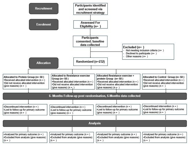 CONSORT flow diagram illustrating clinical trial participants for a muscle loss study.
