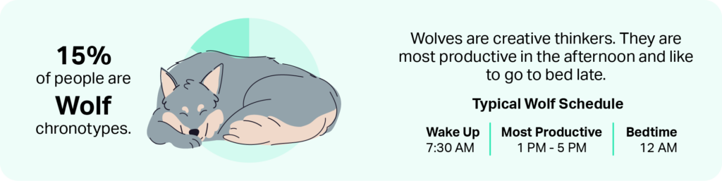 Wolf chronotype banner graphic with a wolf silhouette and moon icons.